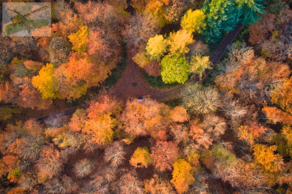 16Nov19-Eppelborn-47